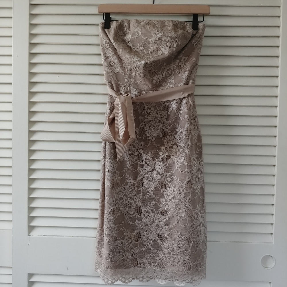 Banana Republic Lace Dress